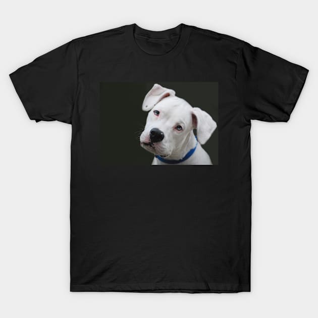 "Will this pose do....?" T-Shirt by LaurieMinor